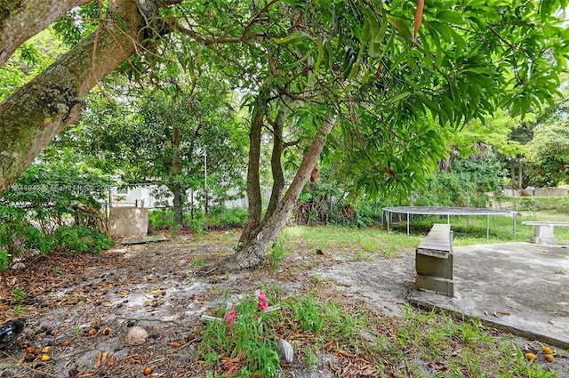 1368 11th St, West Palm Beach, FL 33401 - photo 5