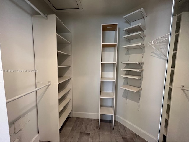 2031 Renaissance Blvd Unit 308, Miramar, FL 33025 - photo 10