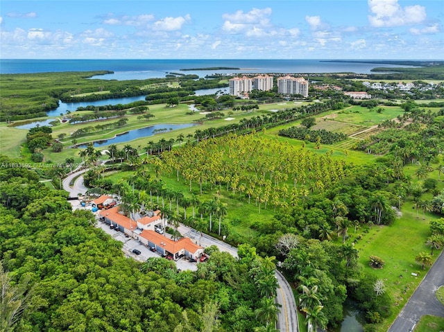 13633 Deering Bay Dr Unit 225, Coral Gables, FL 33158 - photo 52