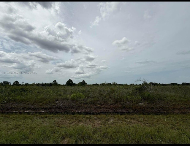 17385 NW 314th St, Okeechobee, FL 34972 - photo 2