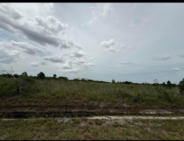17385 NW 314th St, Okeechobee, FL 34972 - photo 3