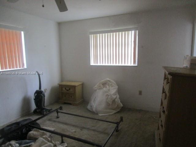 8650 N Miami Ave, El Portal, FL 33150 - photo 10