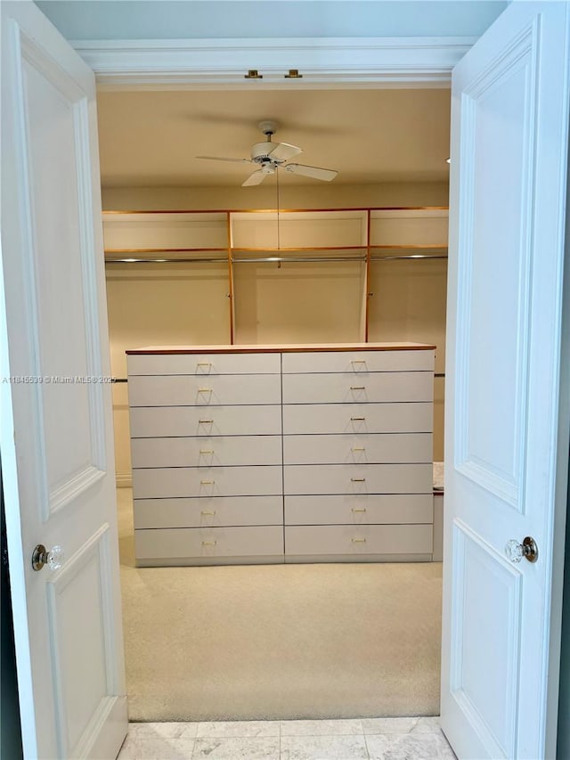 3508 Bayshore Villas Dr, Miami, FL 33133 - photo 32