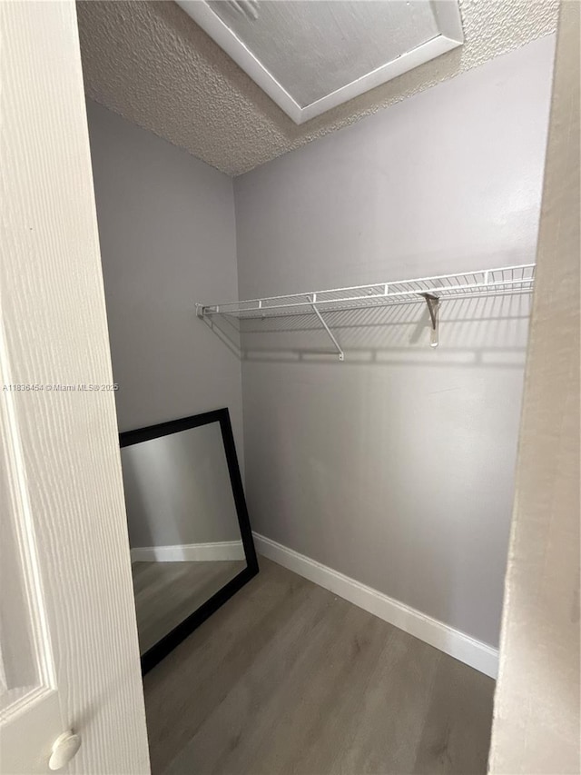 2031 SW 81st Way, Davie, FL 33324 - photo 26