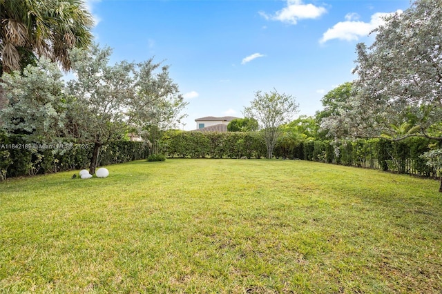 1126 SW 113th Way, Pembroke Pines, FL 33025 - photo 29