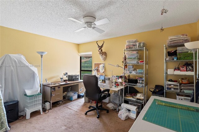 2401 NW 101st Ter, Pembroke Pines, FL 33026 - photo 30