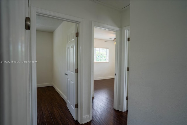 8371 SW 32nd Ter, Miami, FL 33155 - photo 26