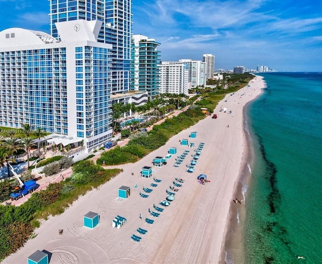6799 S Collins Ave Unit 109, Miami Beach, FL 33141 - photo 25