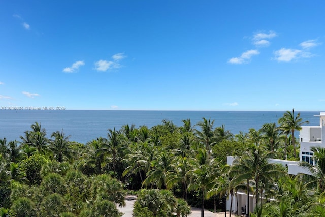 1 Collins Ave Unit 605, Miami Beach, FL 33139 - photo 27