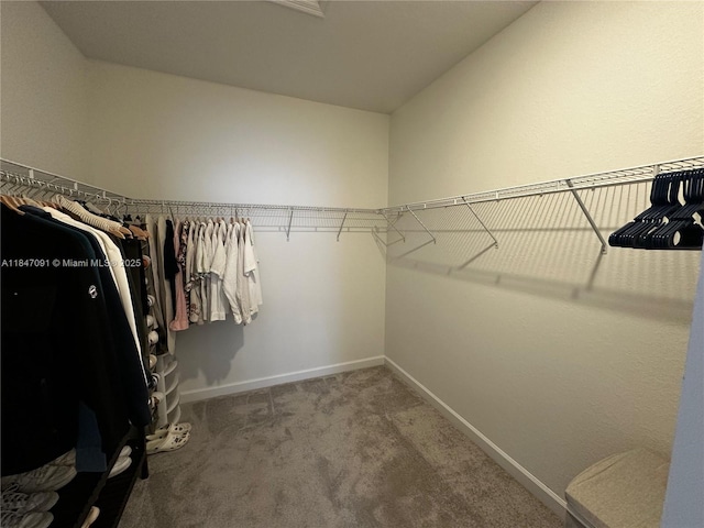 23156 SW 130th Ave, Miami, FL 33170 - photo 35