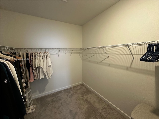 23156 SW 130th Ave, Miami, FL 33170 - photo 38
