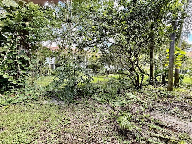 945 NW 92nd Ter Unit C1L, Plantation, FL 33324 - photo 31