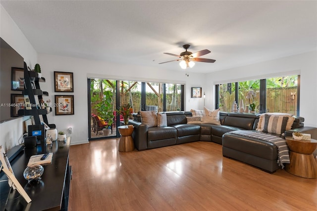 7850 SW 86th St Unit 13, Miami, FL 33143 - photo 12