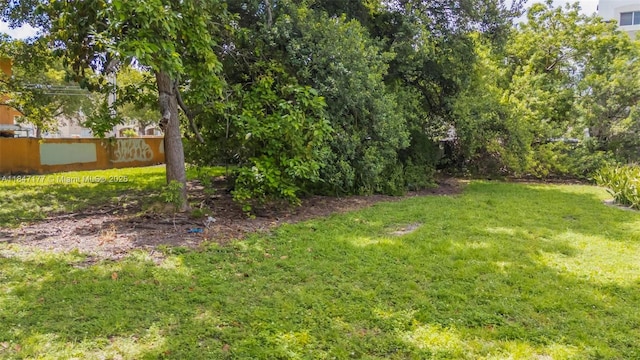 184 E 4th St, Hialeah, FL 33010 - photo 8
