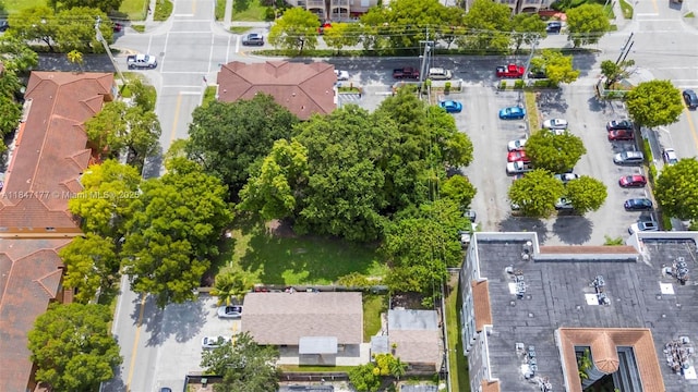 184 E 4th St, Hialeah, FL 33010 - photo 30