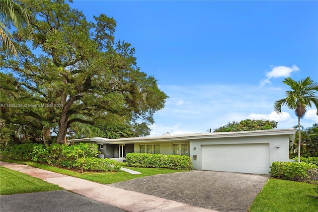 520 Castania Ave, Coral Gables, FL 33146 - photo 2