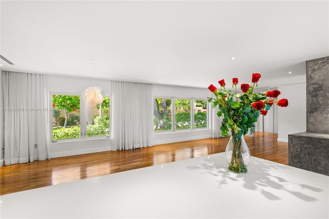 520 Castania Ave, Coral Gables, FL 33146 - photo 14