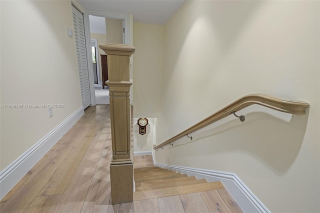 2600 Cardena St Unit 2, Coral Gables, FL 33134 - photo 13