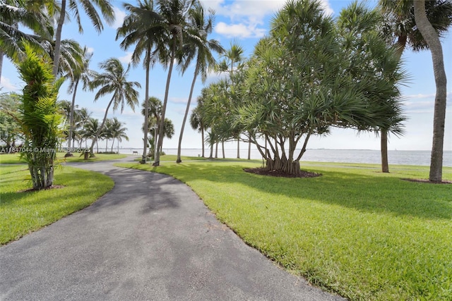 3 Grove Isle Dr Unit C1804, Miami, FL 33133 - photo 44