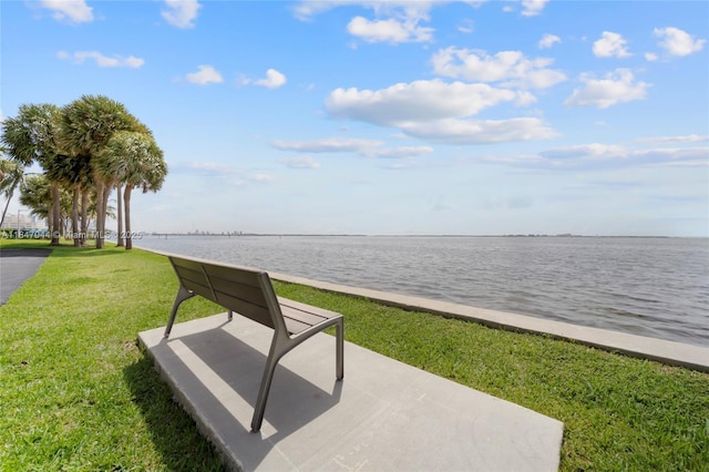 3 Grove Isle Dr Unit C1804, Miami, FL 33133 - photo 46