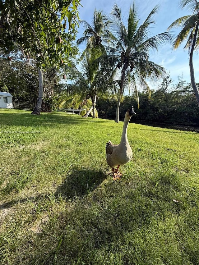 18358 NE 23rd Ct, North Miami Beach, FL 33160 - photo 18