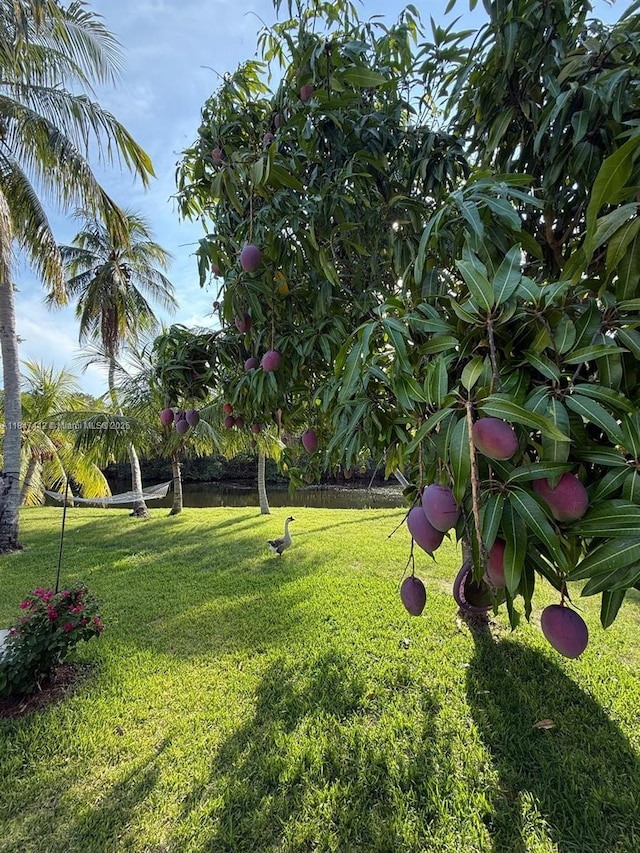18358 NE 23rd Ct, North Miami Beach, FL 33160 - photo 20
