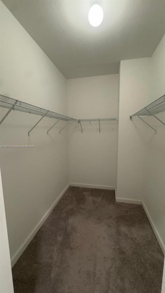 10054 SW 231st Ln, Miami, FL 33190 - photo 45