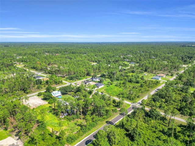4103 E 9th, Lehigh Acres, FL 33972 - photo 13
