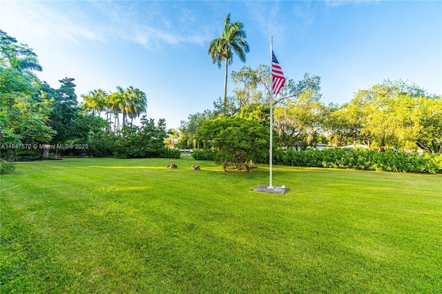 18200 SW 296th St, Homestead, FL 33030 - photo 47
