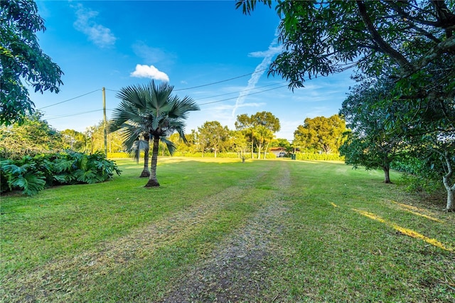 18200 SW 296th St, Homestead, FL 33030 - photo 48