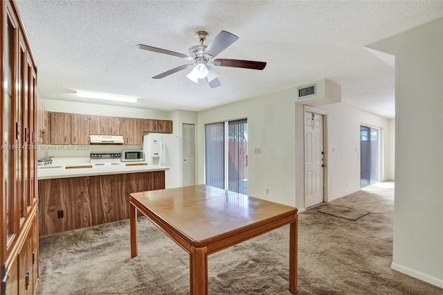 8900 SW 20th Pl Unit A-25, Davie, FL 33324 - photo 10