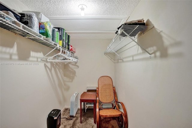 8900 SW 20th Pl Unit A-25, Davie, FL 33324 - photo 19