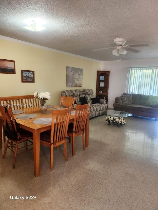 4715 Leucadendra, Sebring, FL 33872 - photo 5