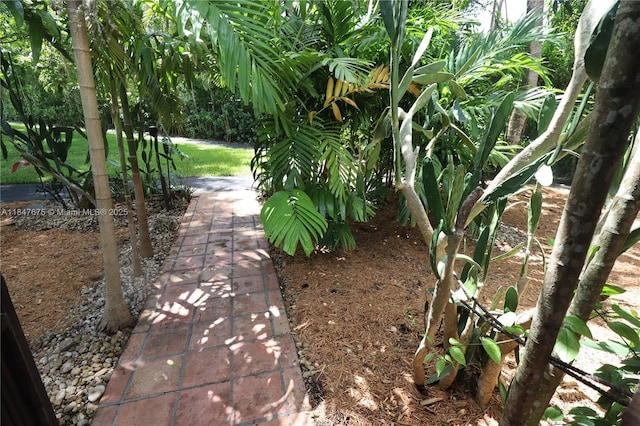 8626 SW 94th St, Miami, FL 33156 - photo 33