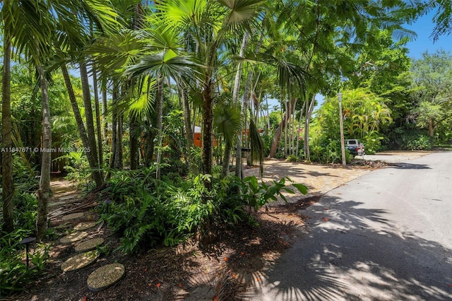 4118 Ventura Ave, Miami, FL 33133 - photo 14
