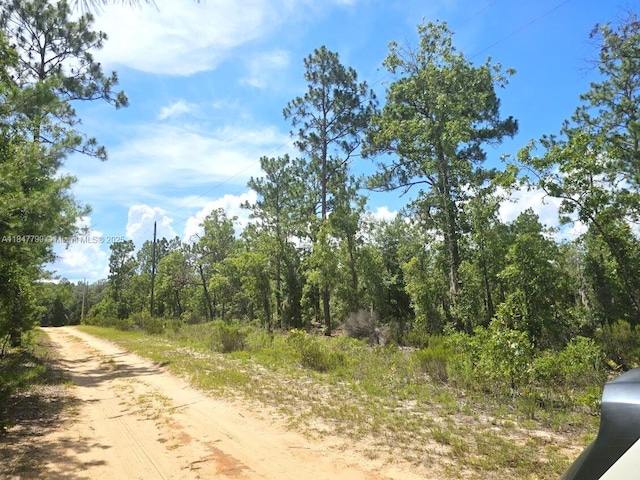 118 Utah, Hawthorne, FL 32640 - photo 1