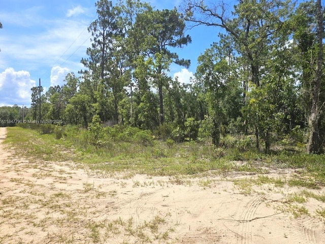 118 Utah, Hawthorne, FL 32640 - photo 4