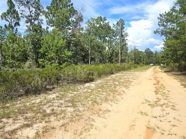 118 Utah, Hawthorne, FL 32640 - photo 6