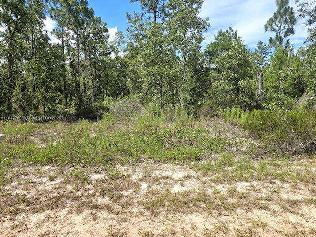 118 Utah, Hawthorne, FL 32640 - photo 7