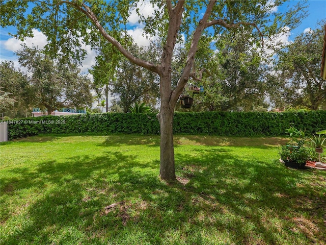 3910 NE 10th Dr, Homestead, FL 33033 - photo 25