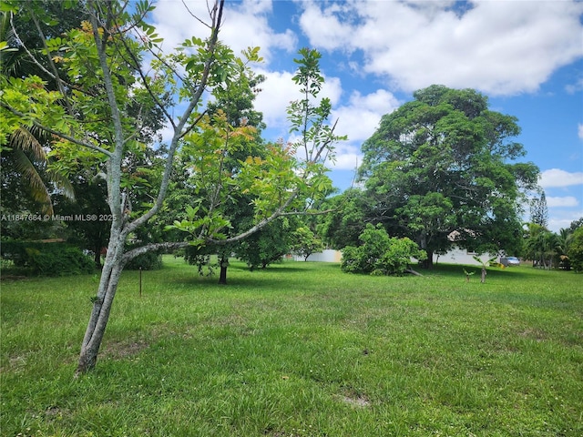 424 Bayberry Dr, Plantation, FL 33317 - photo 35