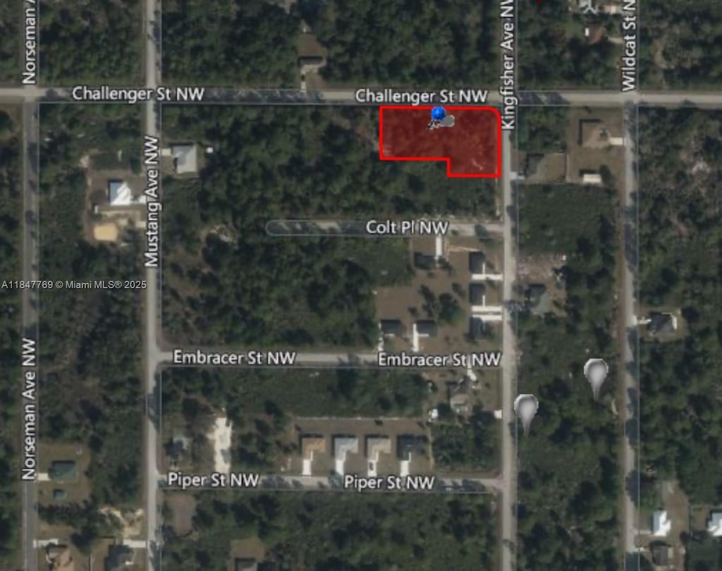 966ST NW Challenger, Lake Placid, FL 33852 - photo 1