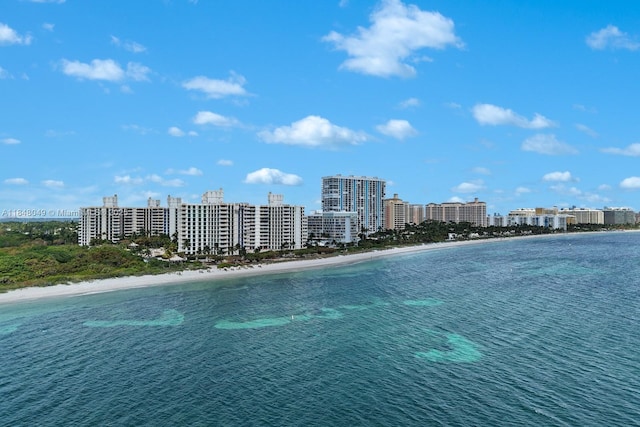 1121 Crandon Blvd Unit F702, Key Biscayne, FL 33149 - photo 27