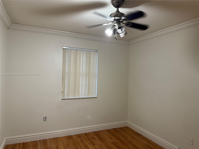 12027 SW 273rd St, Homestead, FL 33032 - photo 5