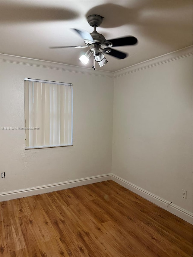 12027 SW 273rd St, Homestead, FL 33032 - photo 8