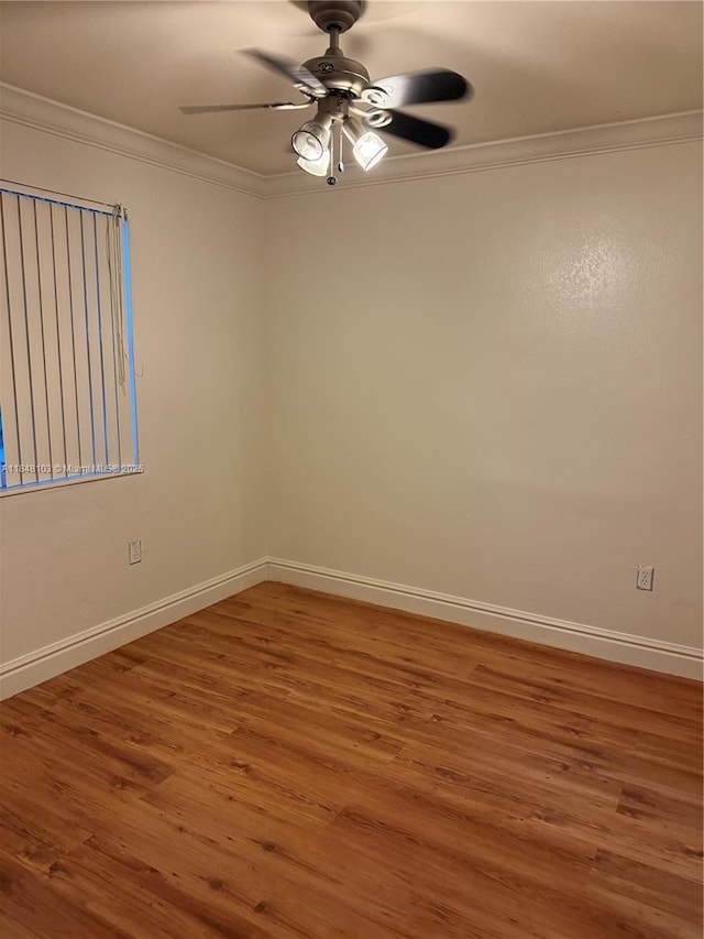 12027 SW 273rd St, Homestead, FL 33032 - photo 9