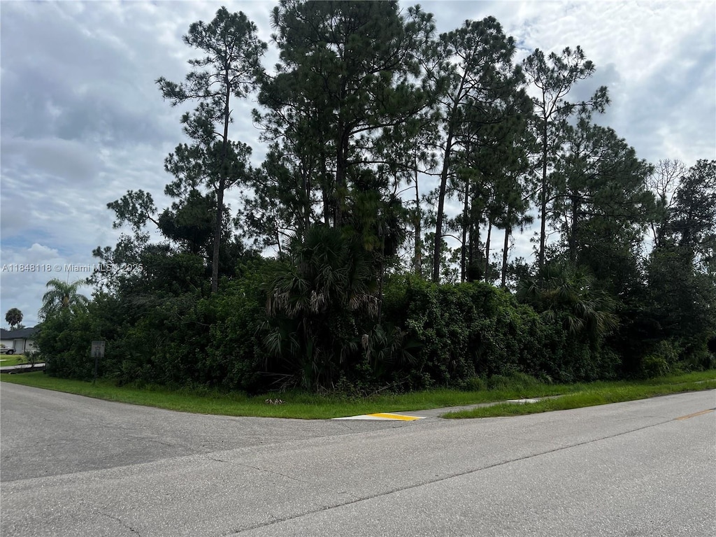 701 E 6th St, Lehigh Acres, FL 33972 - photo 1
