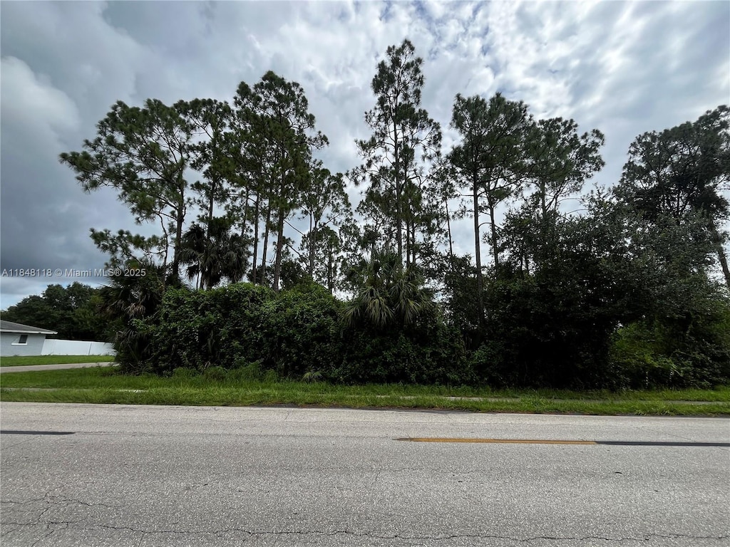 701 E 6th St, Lehigh Acres, FL 33972 - photo 2