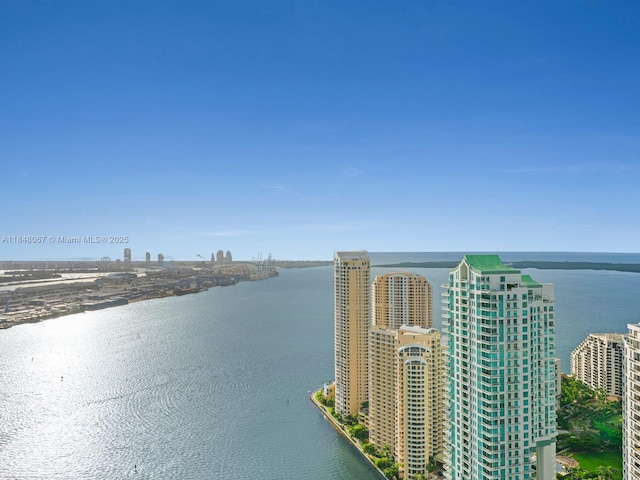 300 Biscayne Blvd Way Unit 4502, Miami, FL 33131 - photo 31