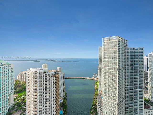 300 Biscayne Blvd Way Unit 4502, Miami, FL 33131 - photo 33